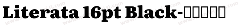 Literata 16pt Black字体转换